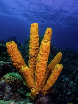  Yellow Tube Sponge: Een Gestructureerd Gebouw Voor Kleine Schelpdieren!