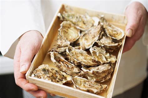  Noordse Oesters: Een Onverwachte Delicatesse Met een Vaste Grip op Het Leven!